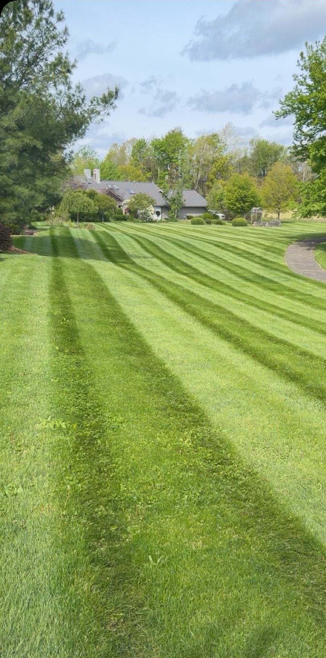 Lawn maintenance project